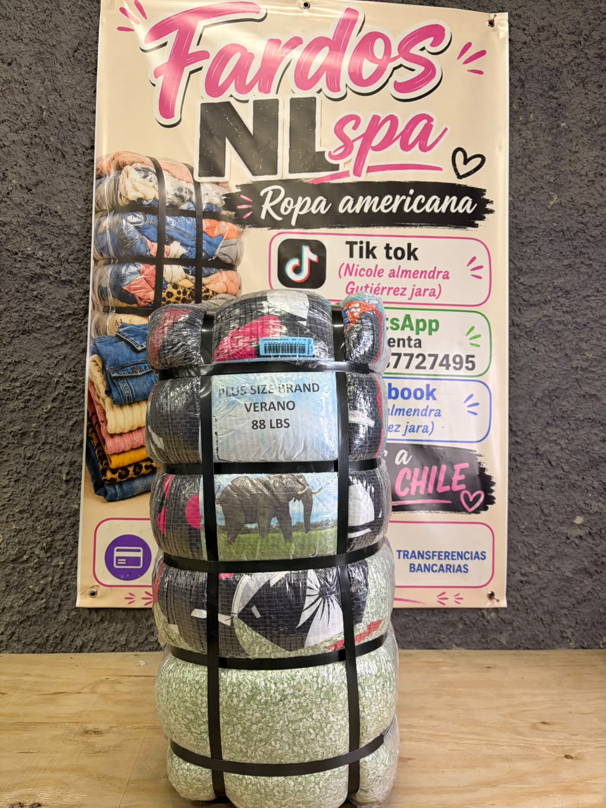 PLUS SIZE BRAND VERANO - 40KG